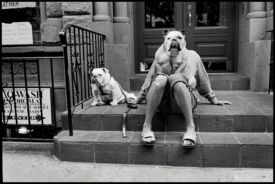 © Elliott Erwitt_MAGNUM Photos USA_New York City. 2000