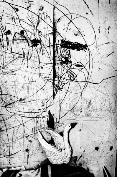 Jacob Aue Sobol “白骨之路”  作品之二