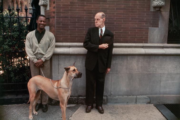 Joel Meyerowitz